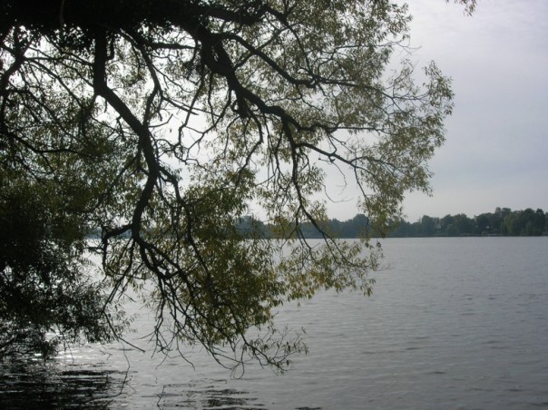 Ein Blick auf den Zaubersee in Bad Malente.