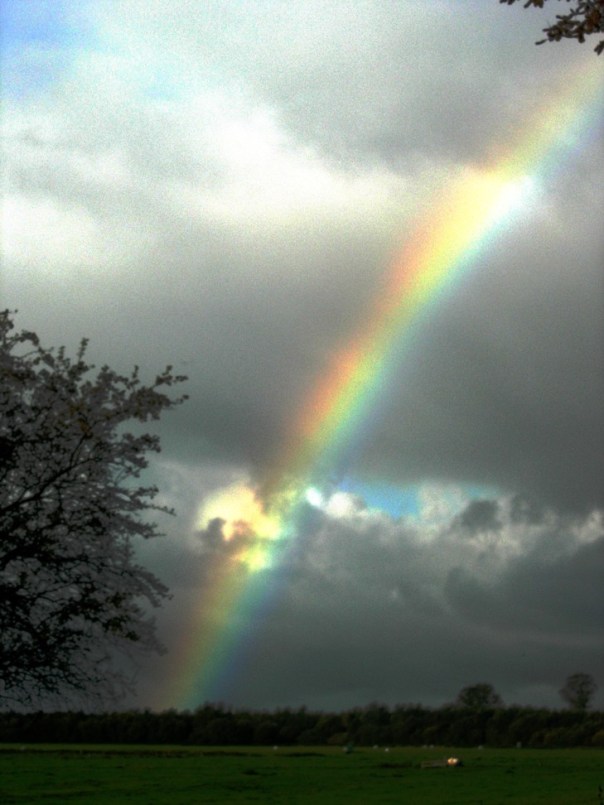 Am Donnerstag leuchtete der Bifröst besonders stark. Es war der Tag des Götterthing!