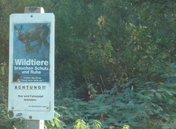 Realsatire - nein, leider bittere Wahrheit! Danke an Song Catcher für dieses Bild!