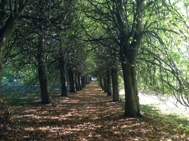 Ein letzter Blick, ein letzter Eindruck, Midgard kann so schön sein!