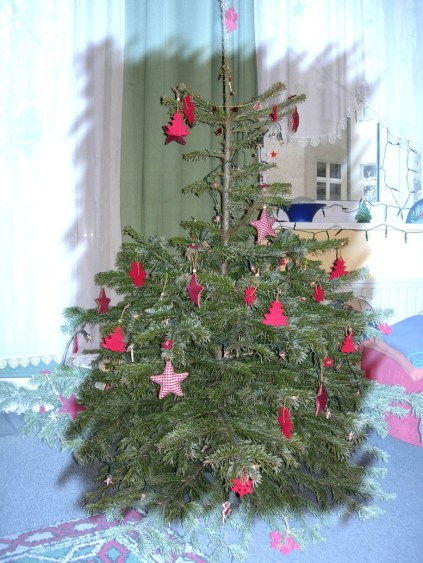 Schon mal gesehen? Manche Leute holen sich in dieser Jahreszeit Bäume ins Haus!