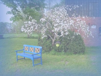 Der Feenbaum steht in voller Blüte!