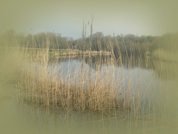 Windstill und ruhig liegt das Gewässer vor uns.