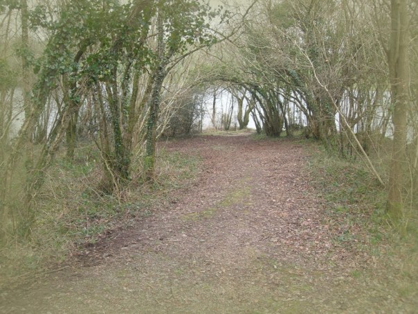 Hinter einer Weide, kurz vor einem See, findet man einen Weg der scheinbar ins Nichts führt. Hier wächst ein natürliches Feentor, ein direkter Zugang zur Anderwelt.