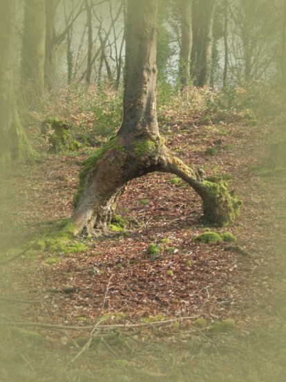 Überall in Irland finden sich Feentore,  Wichtelbrücken und Elfenpfade.