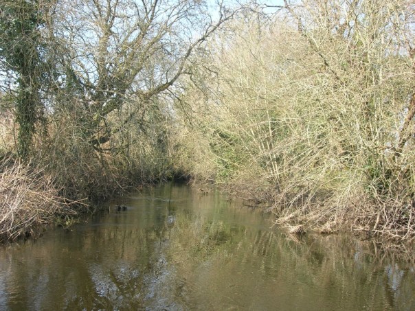 So oder so - wir müssen hier durch. Irgendwie...