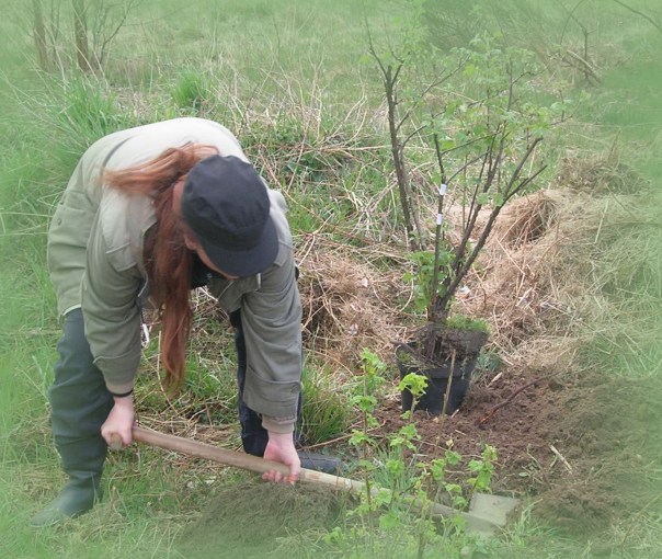 Nein, mein Muskelkater kam nicht vom Fotografieren! Wir haben tatsächlich alle malocht.