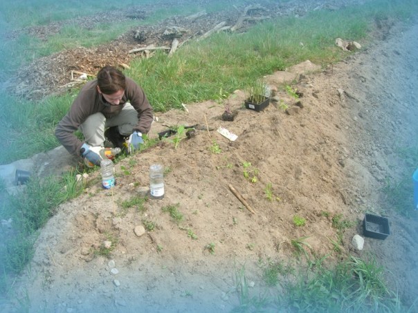 Brighid bei setzen der Pflanzen