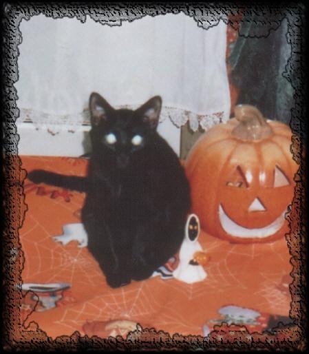 Auch Kater Iggy feiert mit.