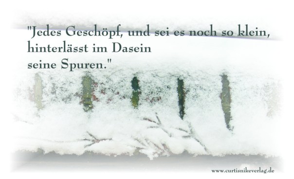 Foto und Text: Curtis Nike