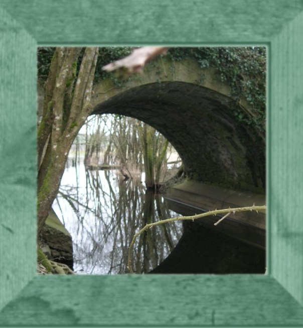 Das Fenster zur Welt zeigt neue Wege.