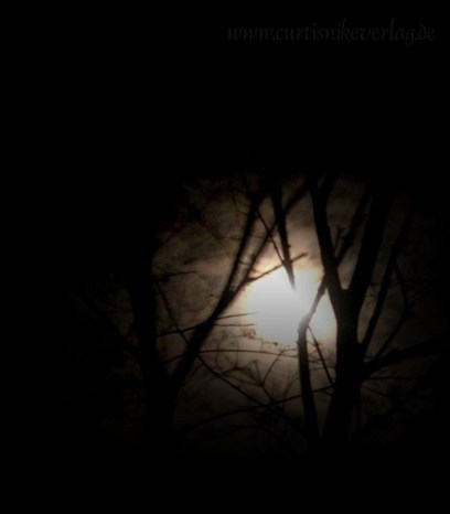 Manche Hexen richten sich beim Feiern des Imbolc-Festes nach dem Mond.