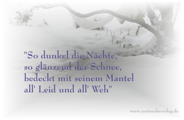 Schnee in einem Hinterhof in Berlin Kreuzberg. Foto und Text: Curtis Nike