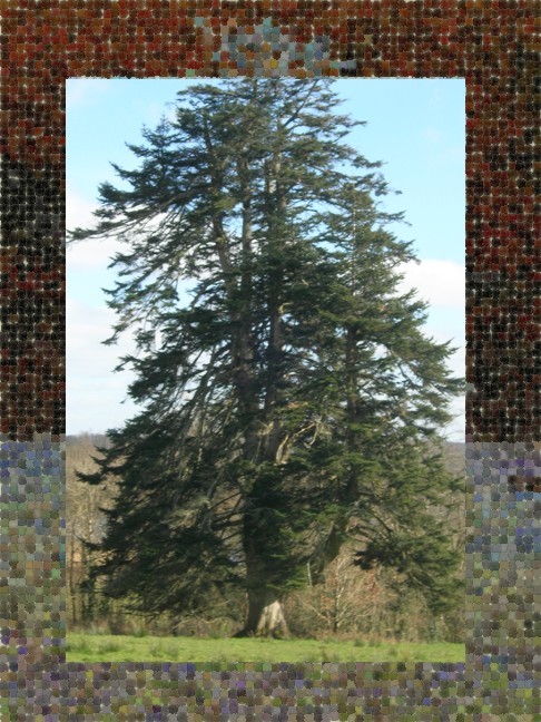 Die Wurzeln, die uns halten: Familie und Freunde!