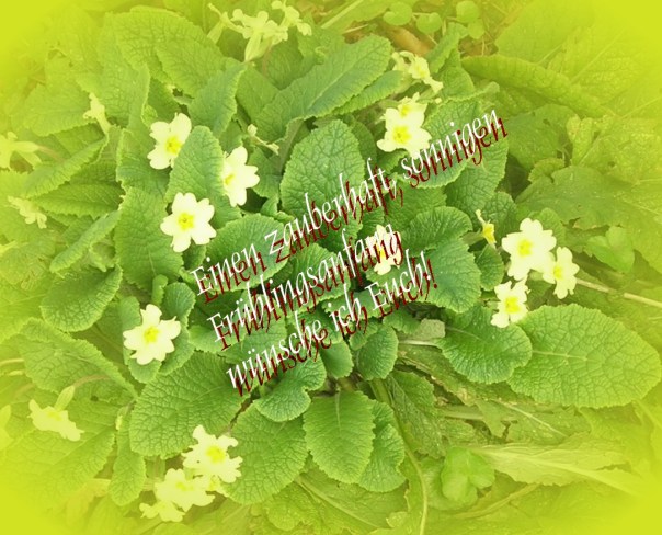 Frühling kommt!