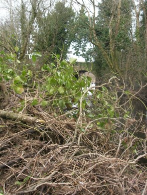 Ein umgefallender Baum und allerlei Treibgut, welches sich in ihm verfangen hat, stoppen unsere Bootstour.
