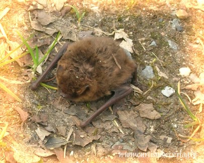 Da braucht jemand dringend Hilfe!