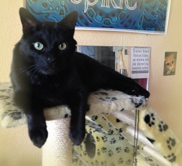 *Buh* Ich bin ganz gefährlich!