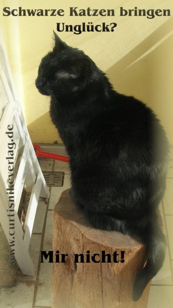 Hexenkater Iggy im Frühjahr 2016