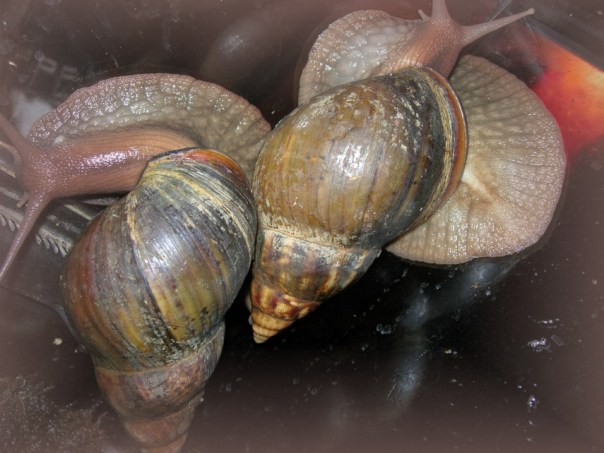 Guten Tag! Und: Auf Wiedersehen!