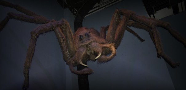 Diese etwa drei Meter große Acromantula ist als Haustier insgesamt sehr ungeeignet.