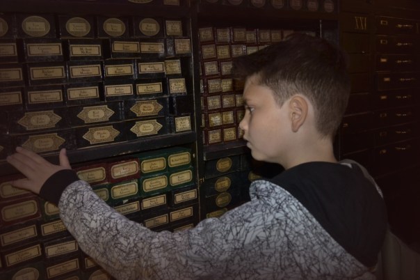 Zauberstäbe ohne Ende gibt es bei Olivanders.