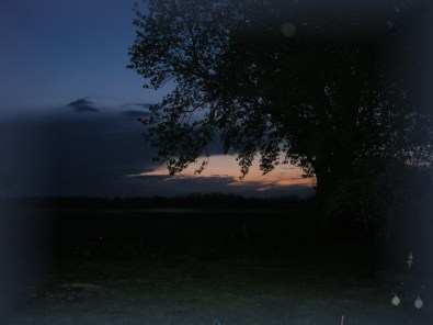 Ein abendlicher Blick in den Garten des Hauses Sternschnuppe.